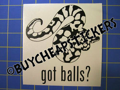 Ball Python Snake Decal Got Balls? Vinyl Decal - Sticker 5x5 - Any Color